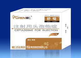 豫港制药与京豫科技 动开封产业升级的双方力量