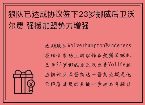 狼队已达成协议签下23岁挪威后卫沃尔费 强援加盟势力增强